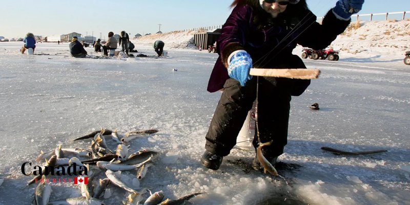 Experience the Thrill of Ice Fishing in the UK's Live Casino Scene, ice fishing gambling