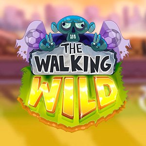 Introduction to celuapuestas casino